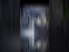 خط إنتاج TECPPF الجديد